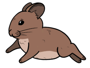 A happy pika