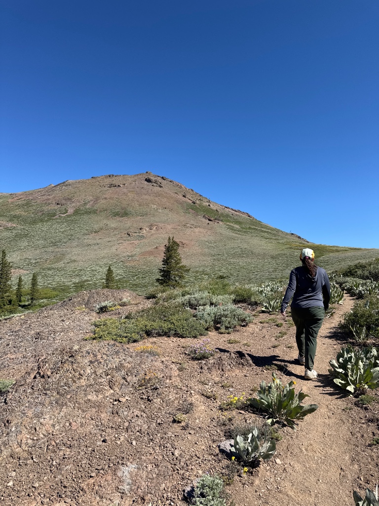 Photo from Alpine County, California, United States