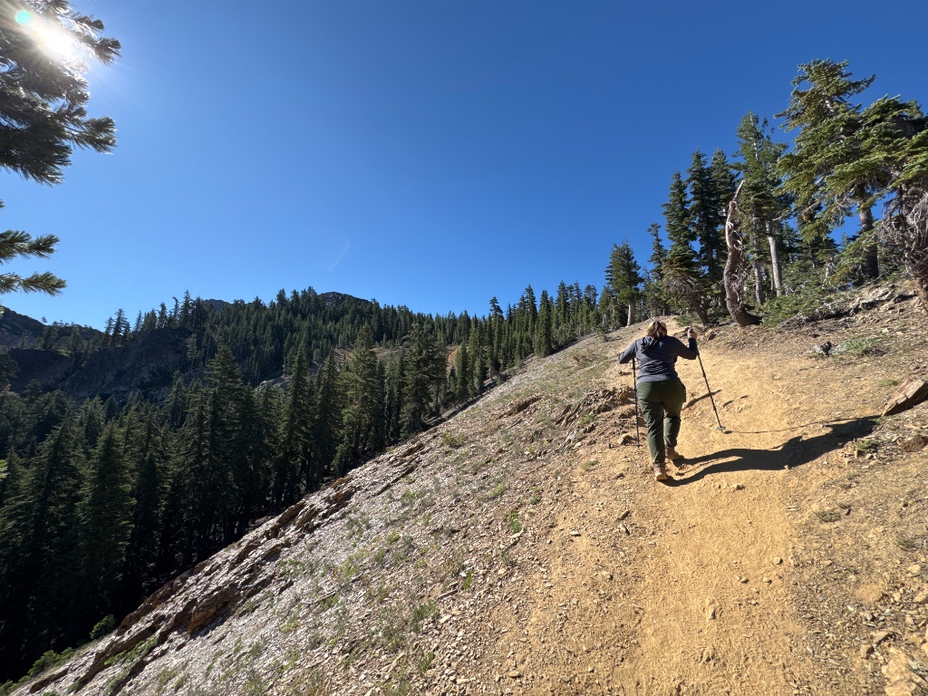 Photo from Sierra County, California, United States