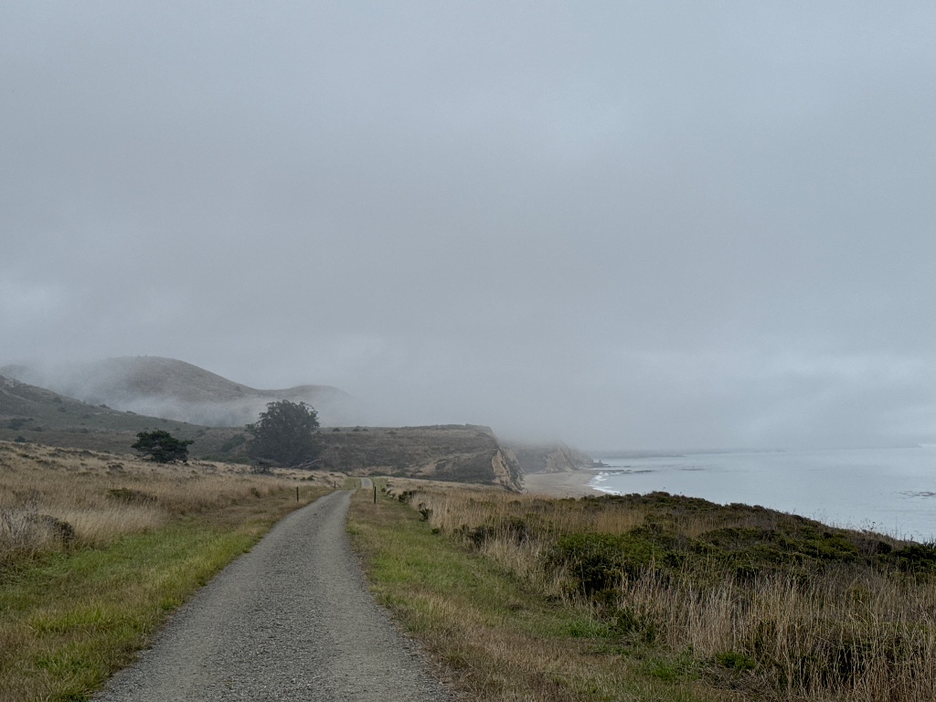 Photo from Marin County, California, United States